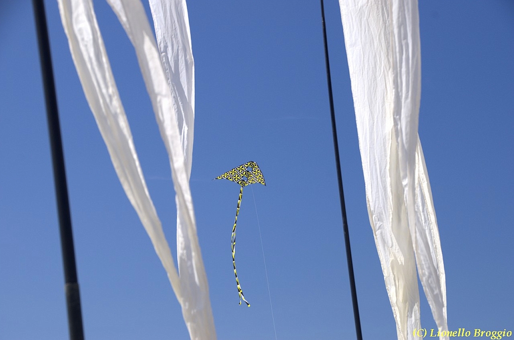 32 FESTIVAL CERVIA 2012 - 180.jpg